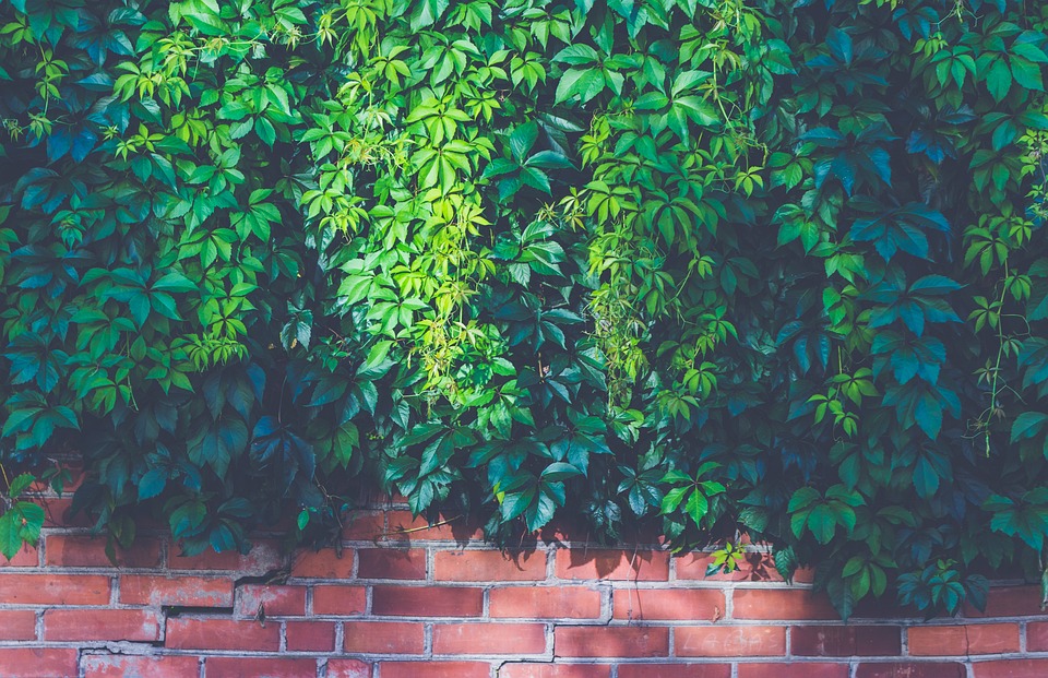 how to clean exterior brick